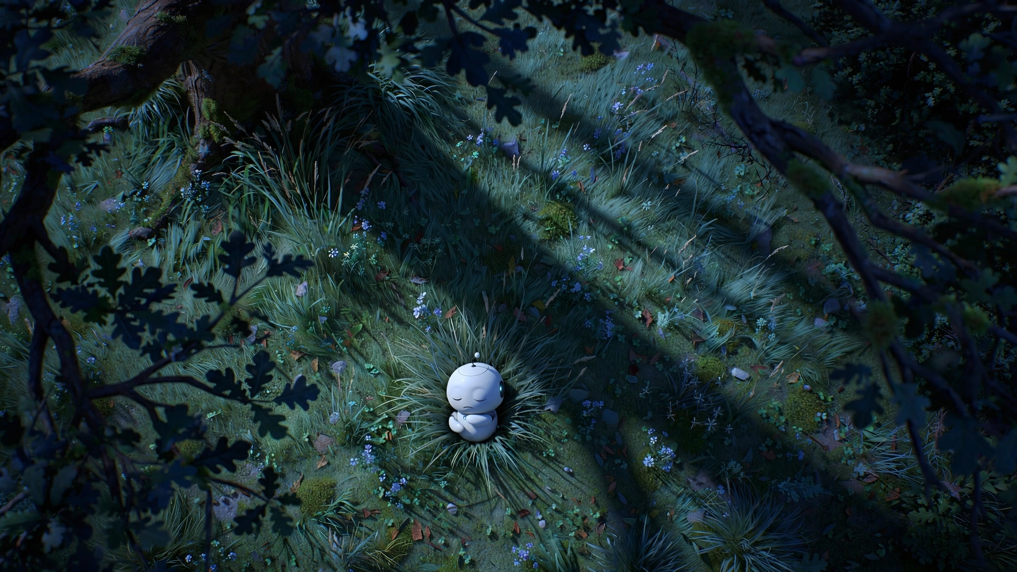 Moon