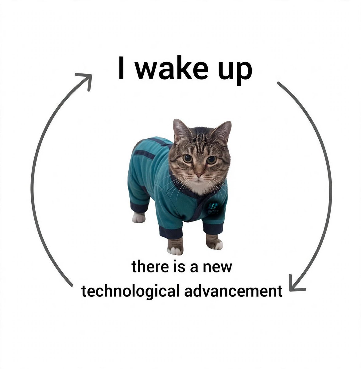 Cat in pajamas: I wake up, there is a new technological advancement